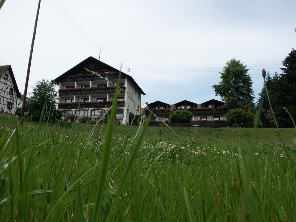 Landgasthof Waldfrieden Hotel Wildensee Exterior foto